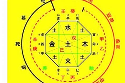 五行忌金|八字五行忌金是什么意思